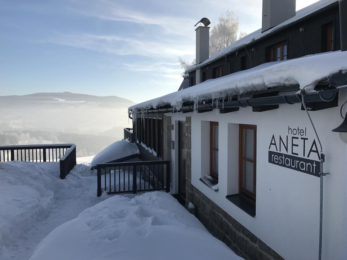 Aneta Hotel & Restaurant Vítkovice المظهر الخارجي الصورة