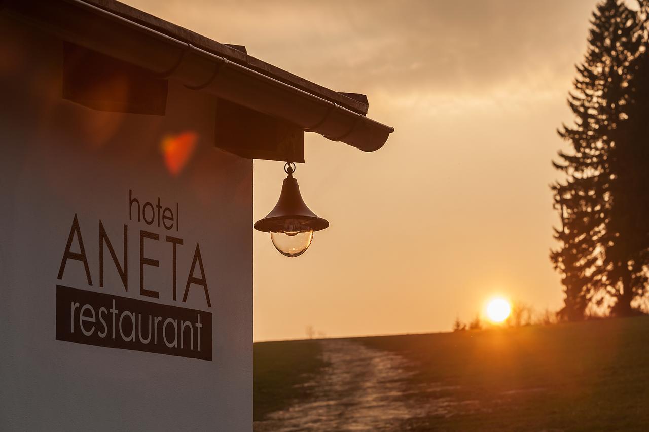 Aneta Hotel & Restaurant Vítkovice المظهر الخارجي الصورة